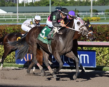 Cautious Giant wins the 2017 Claiming Crown Rapid Transit