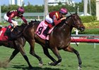 March wins a Dec. 29 allowance/optional claimer at Gulfstream Park
