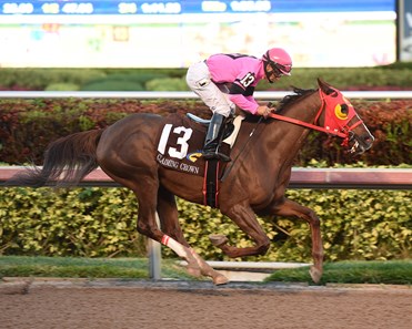 Flowers for Lisa wins the 2017 Claiming Crown Jewel