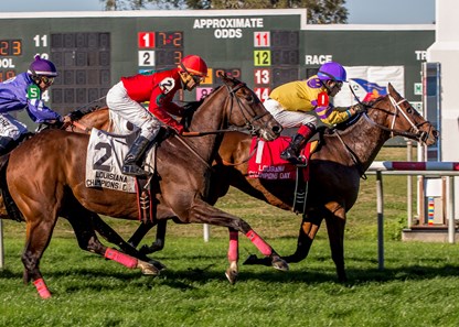 Well's Gold with Miguel Mena aboard wins the La Champions Day Starter Handicap Stakes at Fair Grounds.