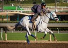 Little Red Feather Racing's Scrambled training at Santa Anita Park