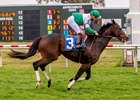 Multiple graded stakes winner Avanzare wins a claiming race Dec. 28 at Fair Grounds Race Course & Slots