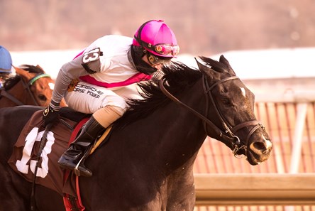 Strategic Dreams wins the 2017 Gin Talking Stakes