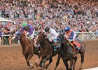 Bayern and California Chrome at the finish of the Breeders' Cup Classic.
<br><a target="blank" href="http://photos.bloodhorse.com/BreedersCup/2014-Breeders-Cup/Classic/i-nxzMmZn">Order This Photo</a>