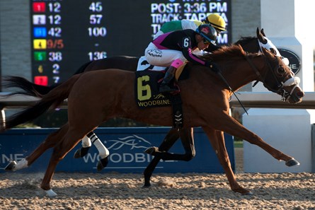 Admiralty Pier wins the 2017 Display Stakes