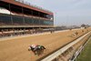 Cowgirl Callie (2, Outside) beating Royal's Position (6) in the Pat Whitworth Illinois Debutante December 2, 2017 at Hawthorne Racecourse. Diego Sanchez up.