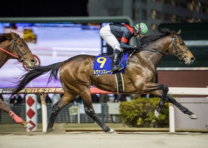 Le Vent Se Leve (JPN) wins the 2017 Zen-Nippon