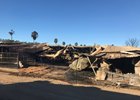 San Luis Rey Downs in the aftermath of the Lilac Fire