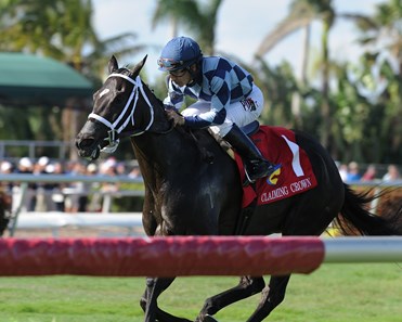 Blue Bahia wins the 2017 Claiming Crown Distaff Dash