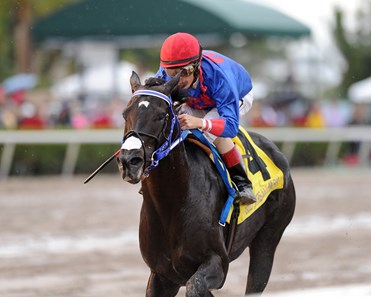 Master Supreme wins the 2017 Copa Velocidad del Caribe