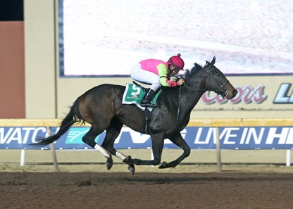 Cosmic Burst wins the 2017 Trapeze Stakes