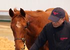 This daughter of Iffraaj brought a session-topping 110,000 guineas (US$155,671) on the final day of the Tattersalls December foal sale