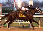 Sharp Azteca with Javier Castellano win the 29th Running of the Cigar Mile (G1) at Aqueduct on December 2, 2017