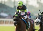Bowies Hero earns his first graded victory in the Mathis Brothers Mile Stakes