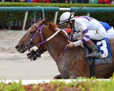 El Tigre Mono wins the 2017 Copa Confraternidad