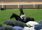 Kitasan Black, a fan favorite in Japan, has been the most popular choice for the Arima Kinen for the last two years