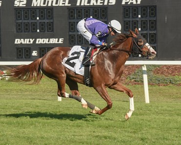 Smiling Causeway wins the 2017 Lightning City Stakes