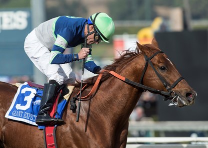 Giant Expectations and jockey Gary Stevens win the Grade II, $300,000 San Antonio Stakes, Tuesday, December 26, 2017 at Santa Anita Park, Arcadia CA.