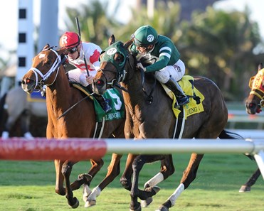 Martini Glass wins the 2017 Claiming Crown Tiara