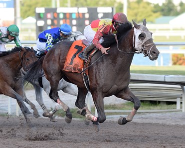 Fear the Cowboy wins the 2017 Harlan's Holiday Stakes