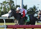 On Leave won the My Charmer Stakes in December