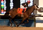 Silent Sting wins the Kingarvie Stakes at Woodbine