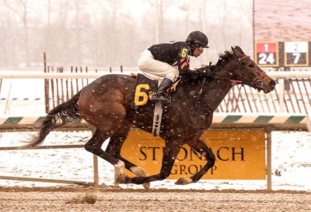 Limited View wins the 2017 Maryland Juvenile Filly Championship