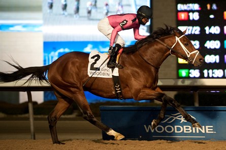 Leavem in Malibu wins the 2017 Valedictory Stakes (G3)