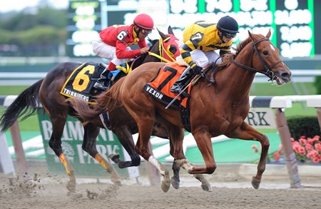 Vexor wins the Nashua Stakes.
<br><a target="blank" href="http://www.bloodhorse.com/horse-racing/photo-store?ref=http%3A%2F%2Fpictopia.com%2Fperl%2Fgal%3Fprovider_id%3D368%26ptp_photo_id%3D9688274%26ref%3Dstory">Order This Photo</a>