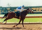 Willa On The Move winning 1988 Ashland Stakes at Keeneland