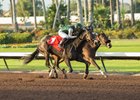 One Fast Broad (outside) runs past Spiced Perfection (inside) to win the Soviet Problem Stakes at Los Alamitos Race Course