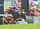 Highland Reel wins the Hong Kong Vase, the seventh top-level win of his racing career