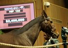 Stanwyck sold for $2.4 million at the Nov. 4 first session of the Keeneland November breeding stock sale.