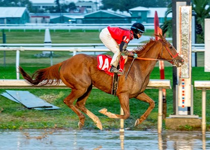 Buggin Out with Miguel Mena aboard wins the Magic City Classic at the Fair Grounds Race Course.
