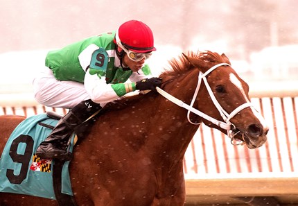 Ms Locust Point wins the 2017 Willa On the Move Stakes
