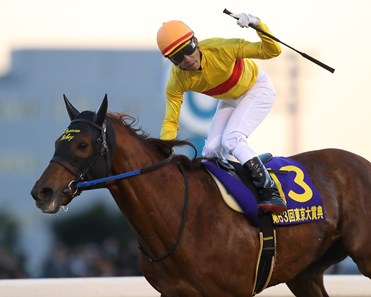 Copano Rickey wins the 2017 Tokyo Diashoten