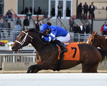 Indulgent wins the 2017 Go for Wand Handicap