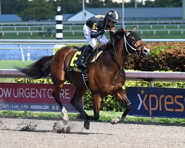 Mended wins the 2017 Claiming Crown Glass Slipper