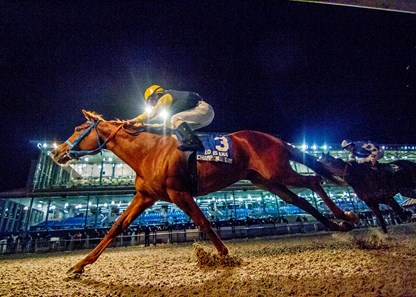 Hay Hollow Stables's Stand Him Up captures the Louisiana Champions day Sprint at Fair Grounds.