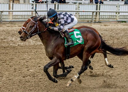 Pound for Pound wins the 2017 Louisiana Futurity - Colt and Gelding Division