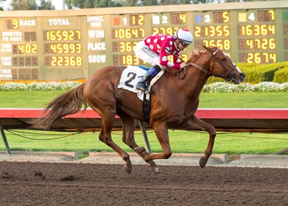 Intimidate and jockey Mike Smith win the $100,000 King Glorious Stakes Saturday, December 16, 2017, Los Alamitos Race Course, Cypress, CA.
