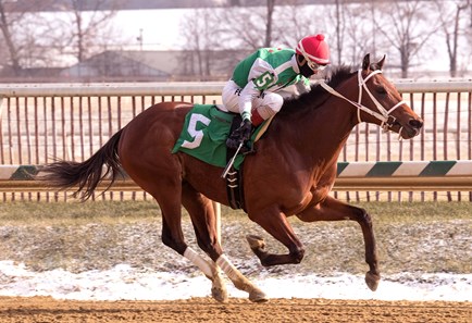 Diamond King wins the 2017 Heft Stakes
