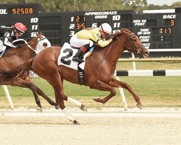 Almond Roca wins the 2018 Gasparilla Stakes