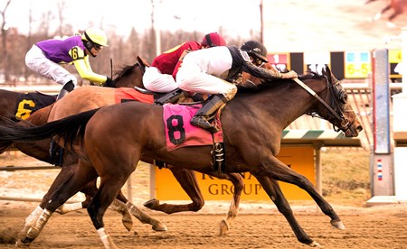 In the Navy Now wins the 2018 Nellie Morse Stakes