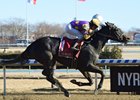 Midnight Disguise wins the Busanda at Aqueduct