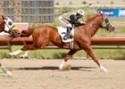 In 2010 Yavapai Downs averaged $32,000 in daily purses