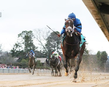 Swing and Sway wins the 2018 American Beauty Stakes