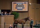 Majestic Quality sells for $350,000