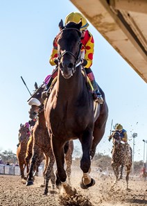 1-13-2018 Yockey's Warrior with Miguel Mena aboard wins the Duncan F. Kenner Stakes at the Fair Grounds Race Course.