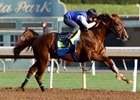 Collected works Jan. 15, clocking seven furlongs in 1:24 1/5 with Mike Smith aboard